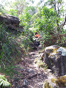 all-terrain biking